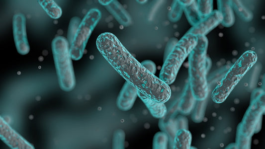 Protect Your Family with RefreshFlip Shower Heads